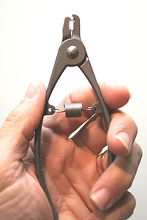 mouse ear tag applicator