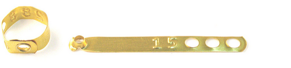 brass atlas seal