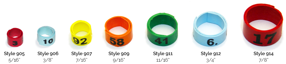 bandette leg bands for chickens