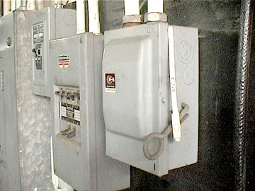 buckleelec1