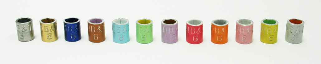 1242-7 bird band colors