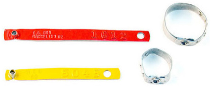 atlas round leg band