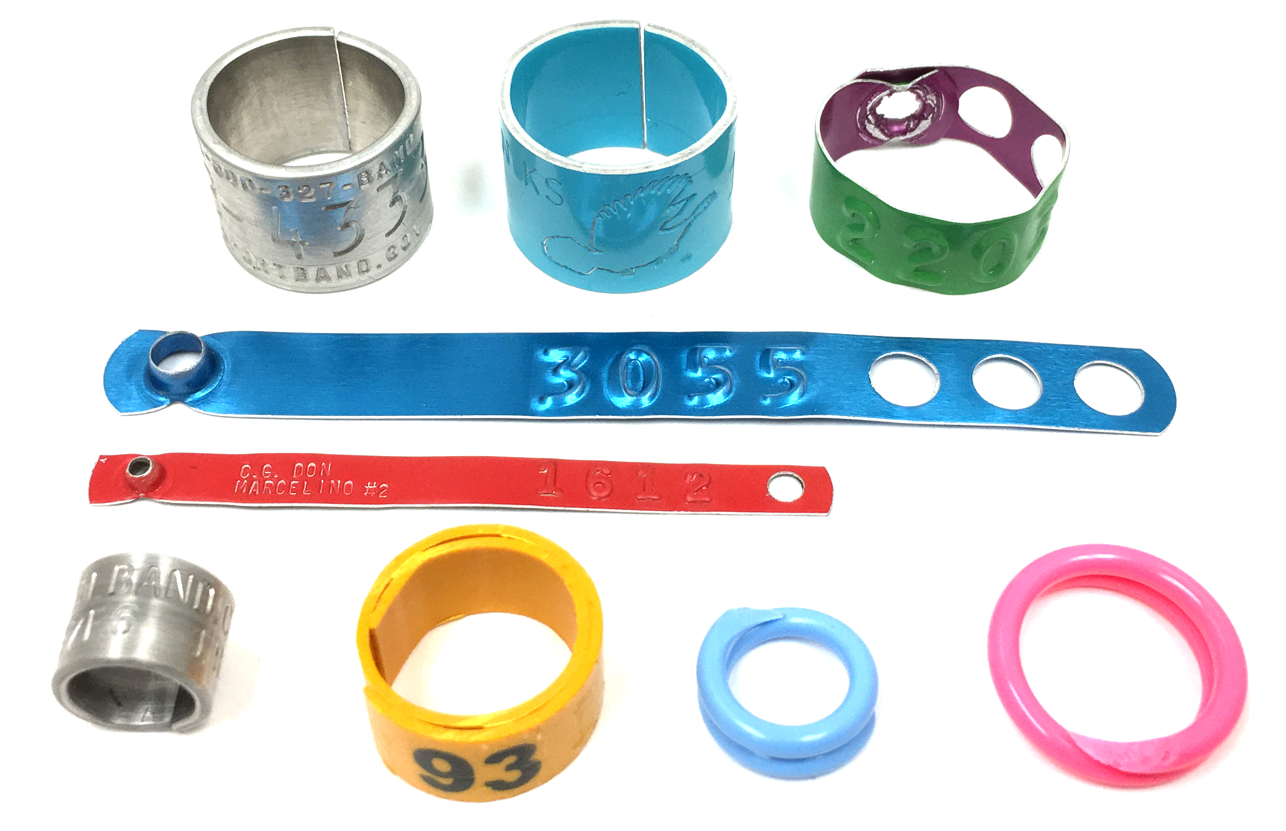 leg band varieties