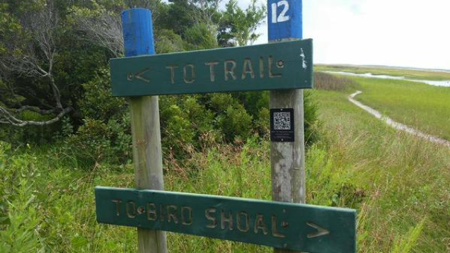 nature trail tag 
