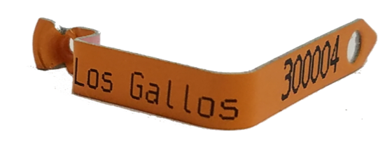 fusion orange wing band