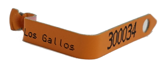 fusion orange wing band