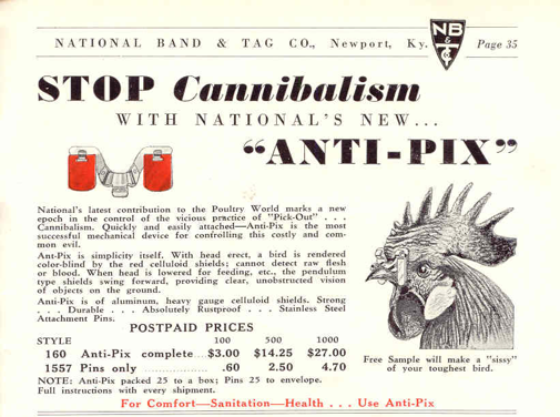 Chickens Can Put Their Shades On Too National Band and Tag Company