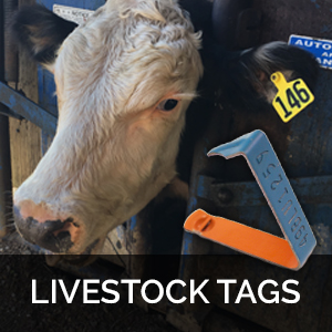livestock tags