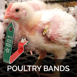 poultry wing bands poultry leg bands