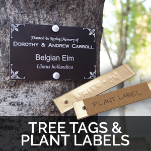 tree tags plant labels