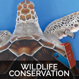 wildlife conservation tags