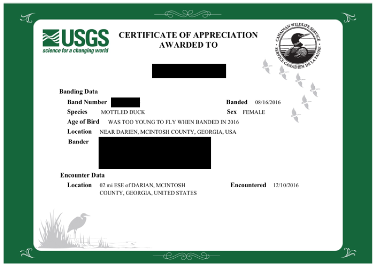 certificate of appreciation