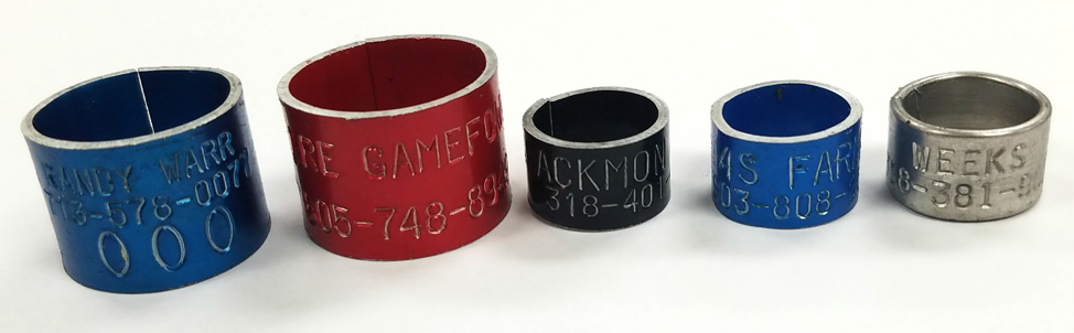 leg bands for pet ducks and geese