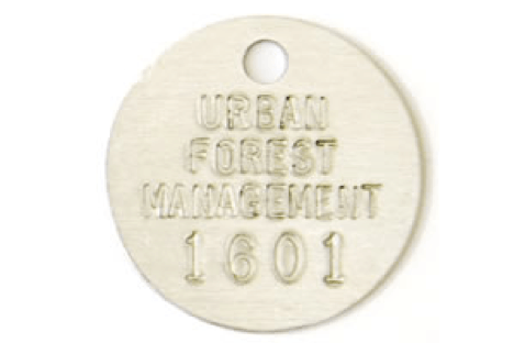 urban forest management