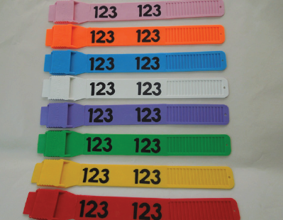 ostrich leg band