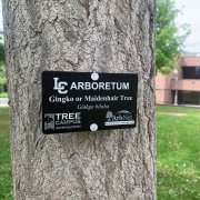 ArbNet Accredited Tree Tag