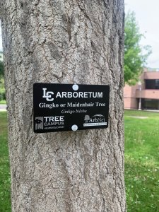 ArbNet Accredited Tree Tag