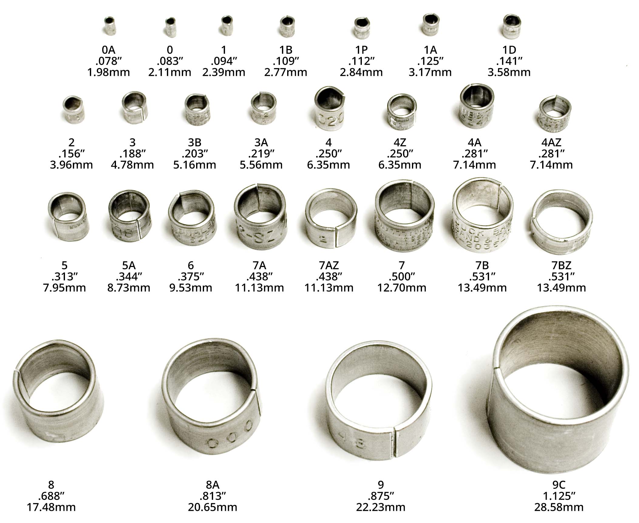 Federal Size Aluminum Butt-End Bird Bands – Style 1242F – National Band and  Tag Company