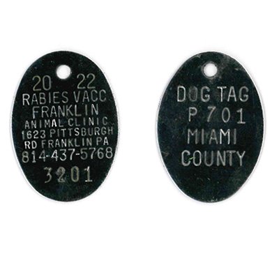 #228 Oval - SETS OF 100 (Stainless Steel)