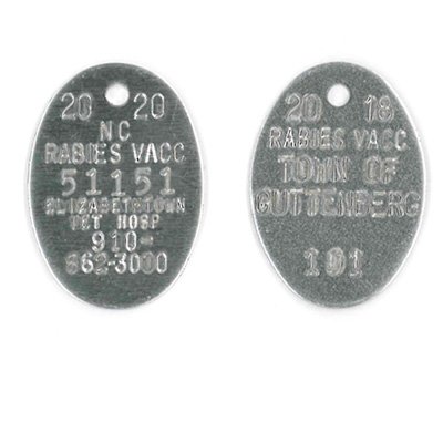 #228 Oval - SETS OF 100 (Plain Aluminum)