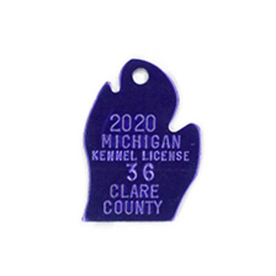 #195 Michigan - SETS OF 100