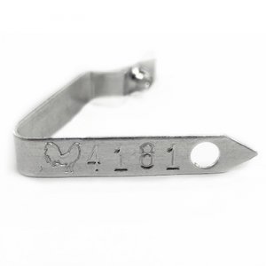 silver logo plain aluminum rooster