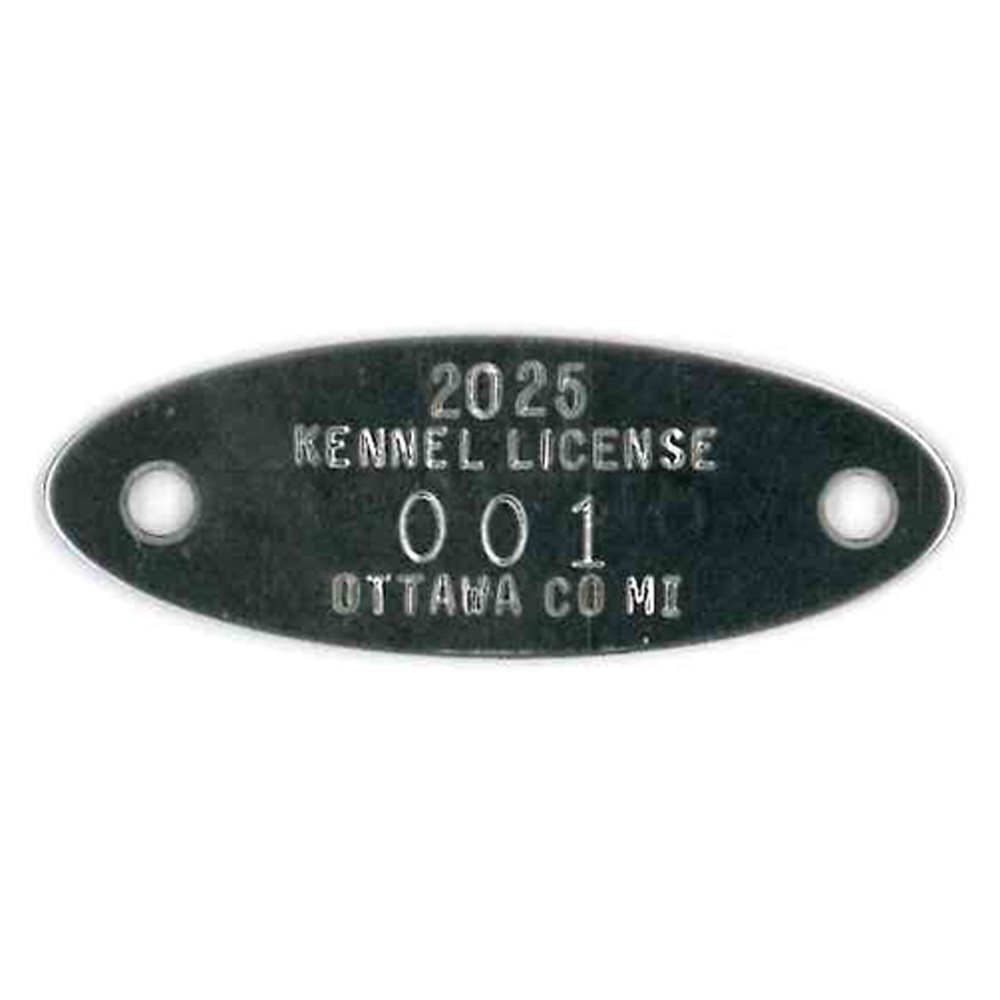 #119 Oval - Sets Of 100 (Stainless Steel)