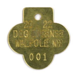 #157 Shamrock (Stem Up) - Sets Of 100 (Brass)