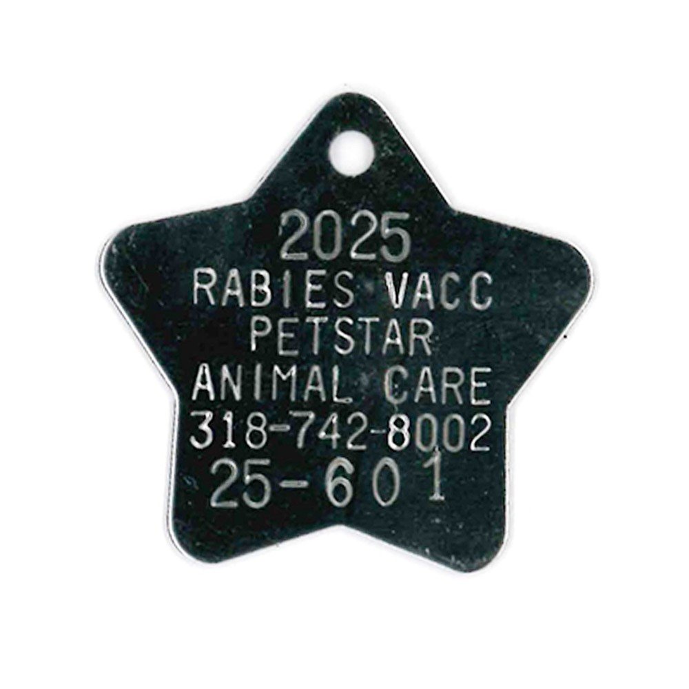 #163 Star - Sets Of 100 (Stainless Steel)