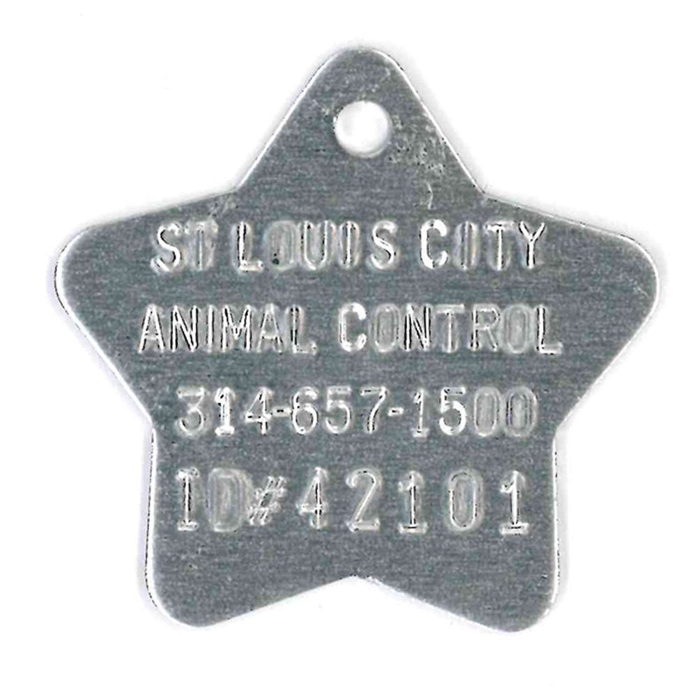 #163 Star - Sets Of 100 (Plain Aluminum)