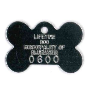 #165 Medium Bone - Sets Of 100 (Stainless Steel)