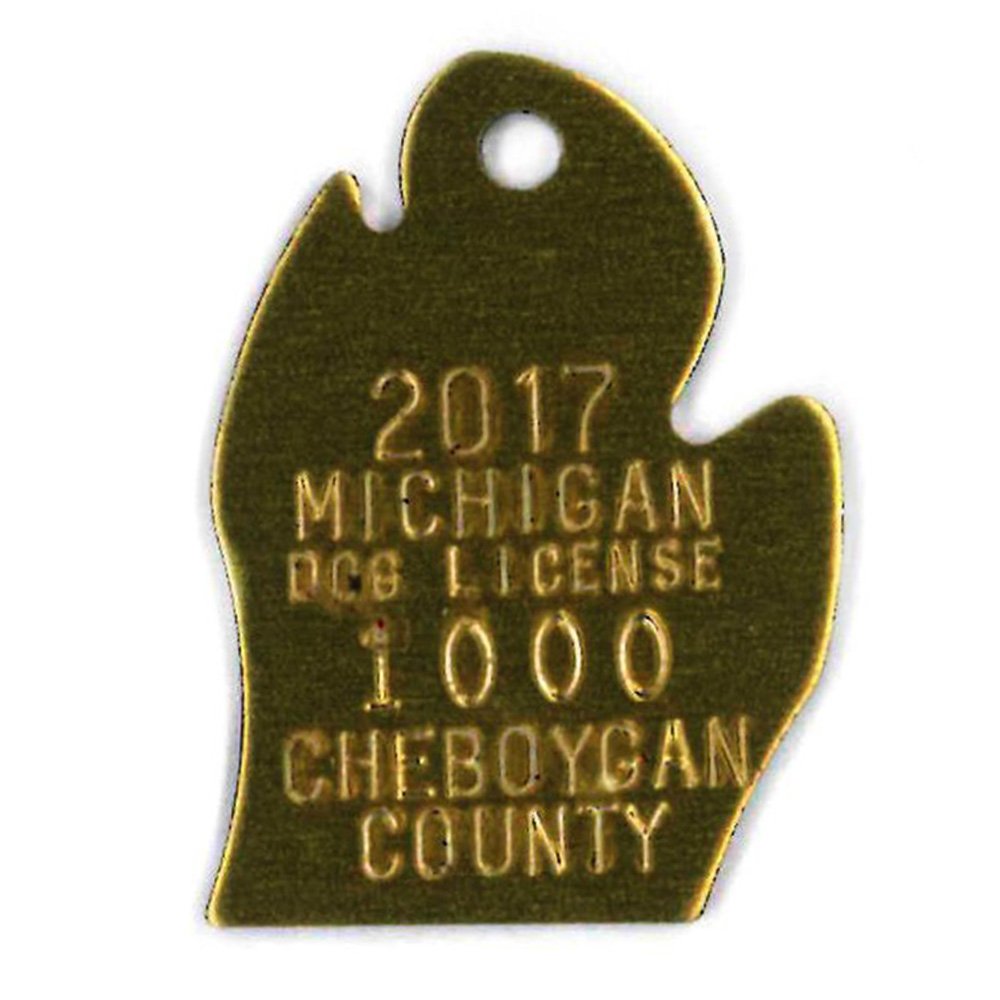 #195 Michigan - Sets Of 100 (Brass)