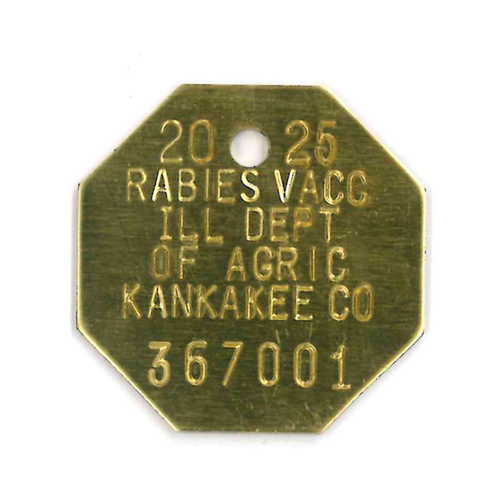 #221 Octagon- Sets Of 100 (Brass)