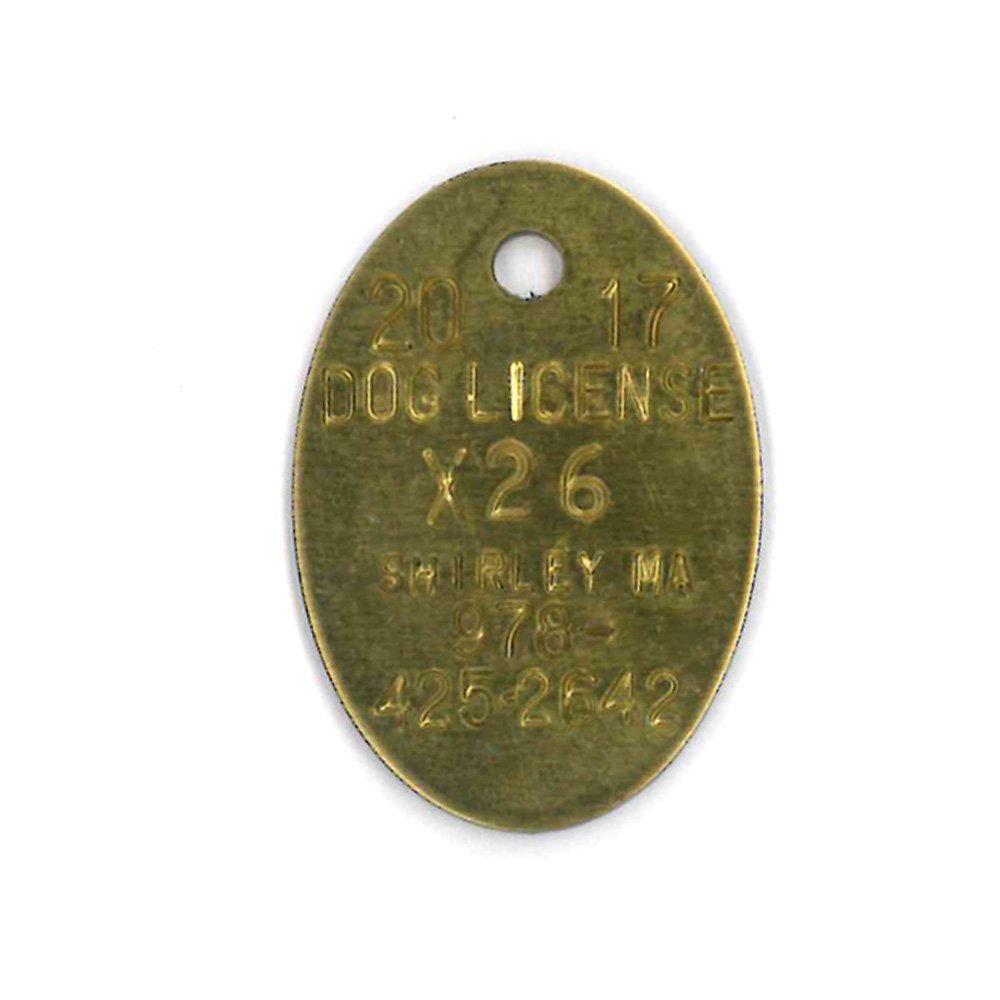 #227 Oval - Sets Of 100 (Brass)