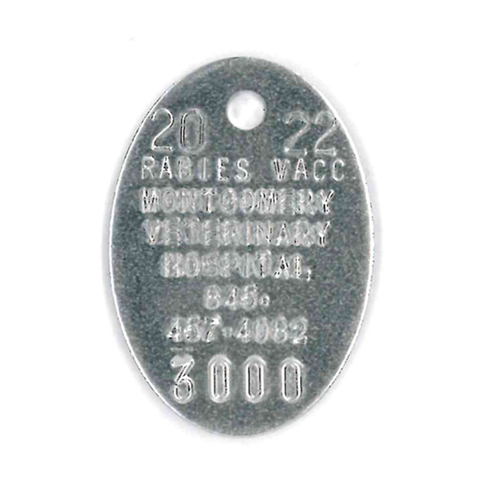 #227 Oval - Sets Of 100 (Plain Aluminum)