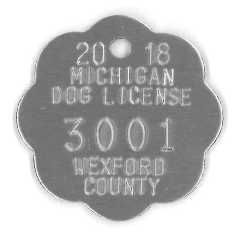 #247 Large Rosette - Sets Of 100 (Plain Aluminum)