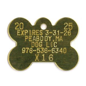#365 Large Bone - Sets Of 100 (Brass)