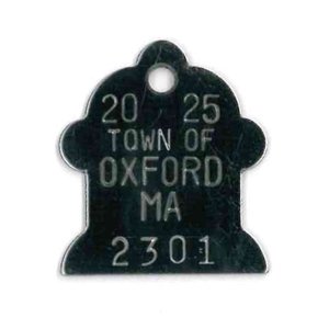 #373 Small Fireplug - Sets Of 100 (Stainless Steel)