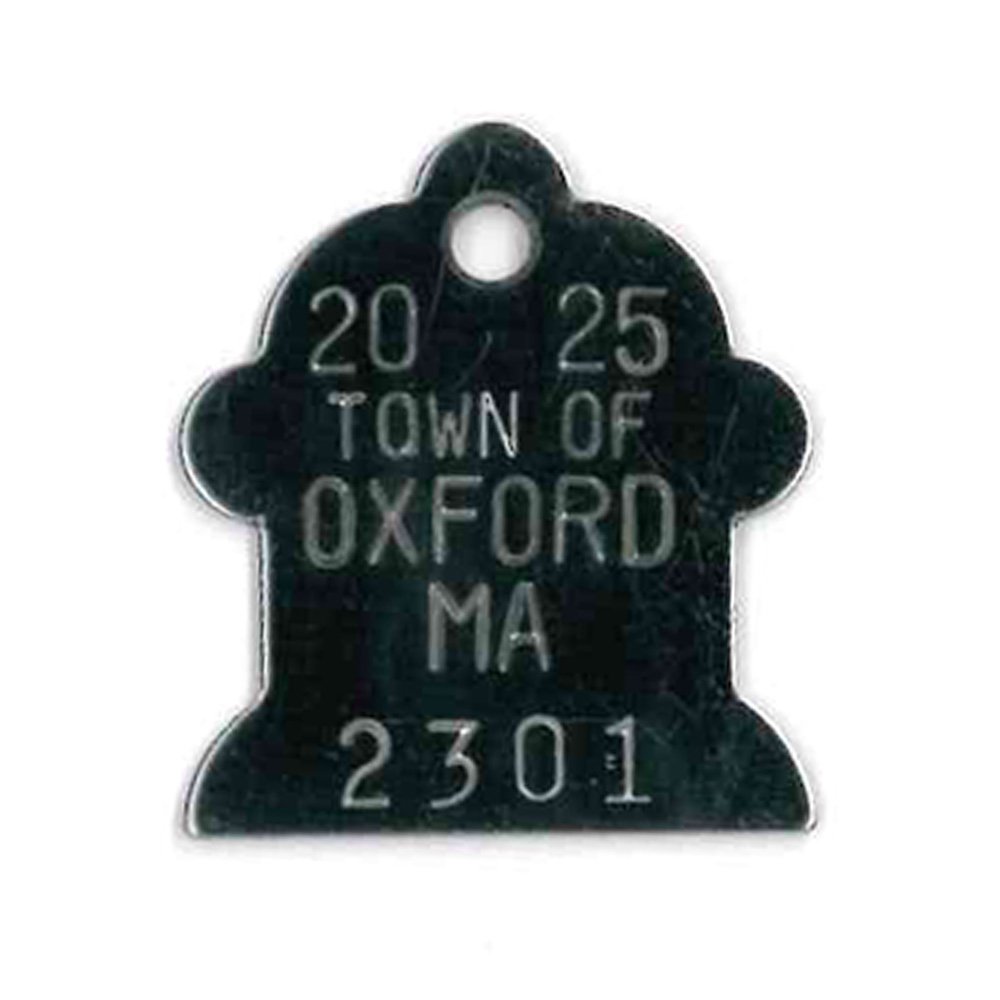 #373 Small Fireplug - Sets Of 100 (Stainless Steel)