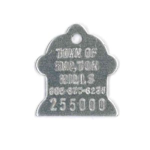 #373 Small Fireplug - Sets Of 100 (Plain Aluminum)