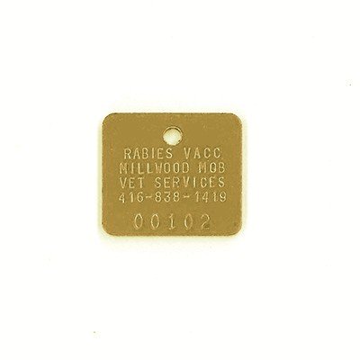 #386 Rectangle - Sets Of 100 (Brass)