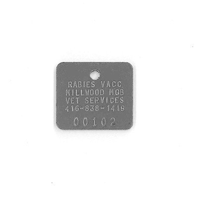#386 Rectangle - Sets Of 100 (Plain Aluminum)