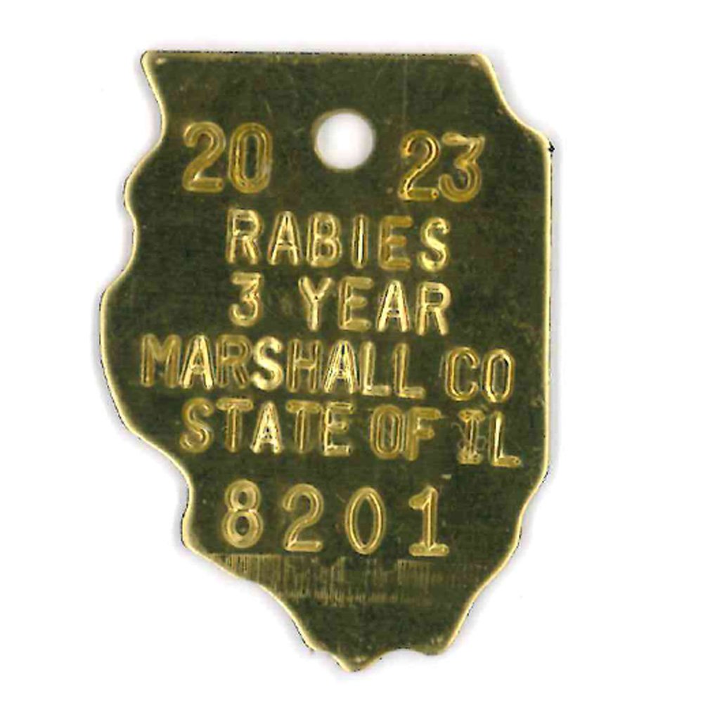 #52 Illinois - Sets Of 100 (Brass)