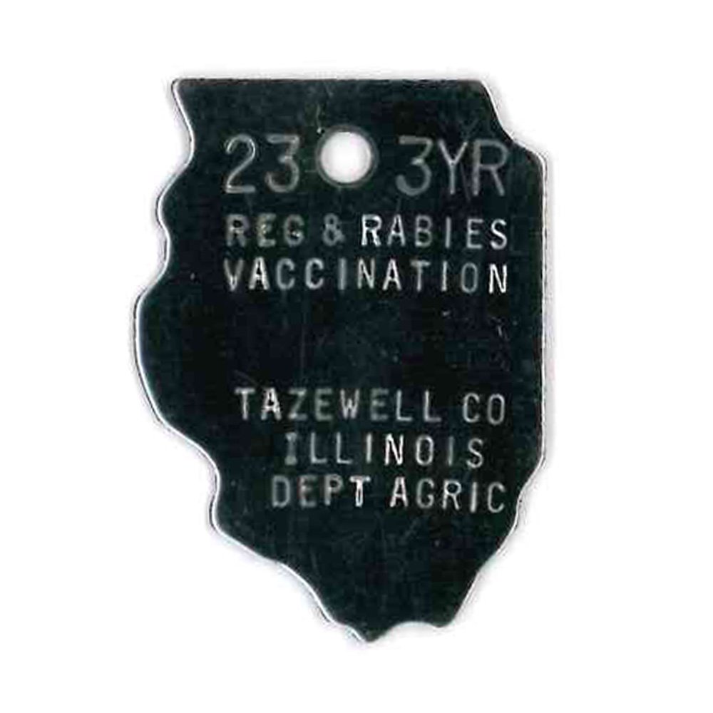 #52 Illinois - Sets Of 100 (Stainless Steel)