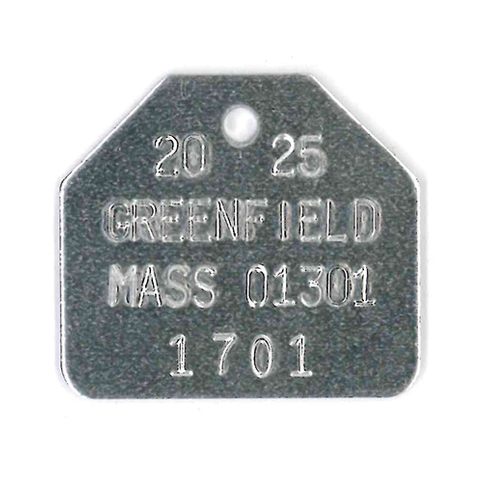 #58 House - Sets Of 100 (Plain Aluminum)