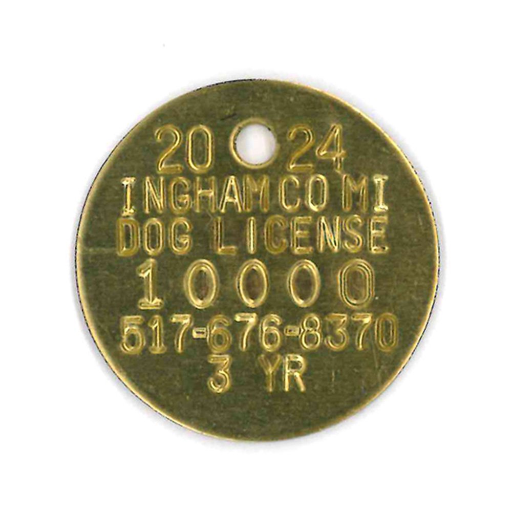 #91 Circle - SETS OF 100 (Brass)