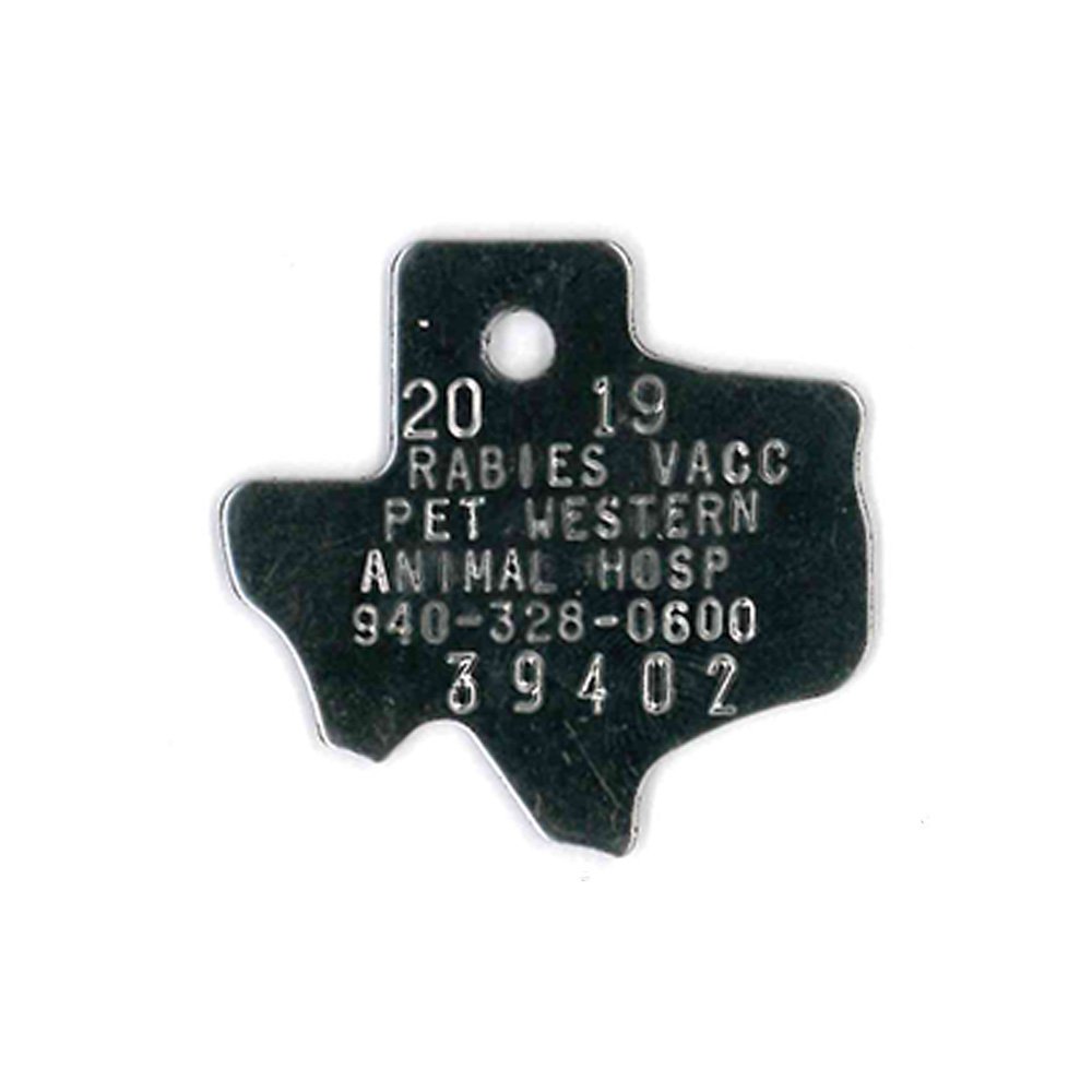 #197 Texas - Sets Of 100 (Stainless Steel)