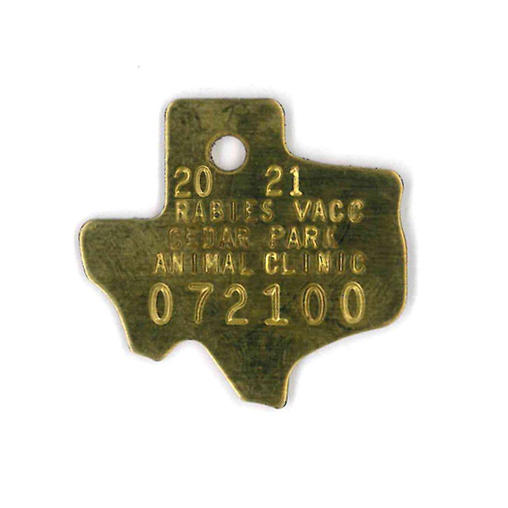 #197 Texas - Sets Of 100 (Brass)
