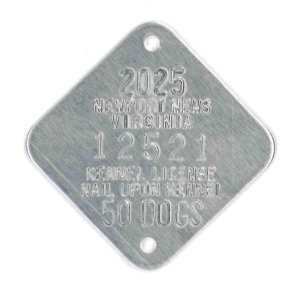 #287 Diamond (2") - Sets Of 100 (Plain Aluminum)